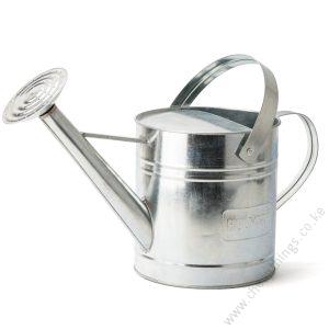 Metallic Watering Can