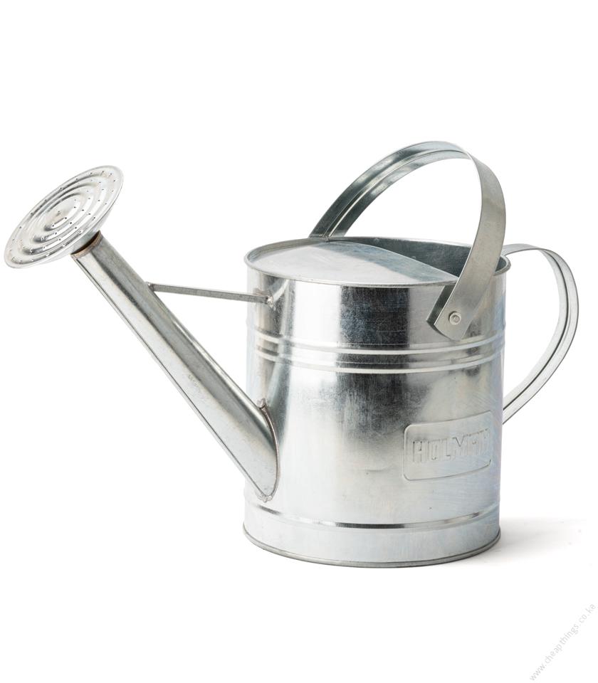Metallic Watering Can