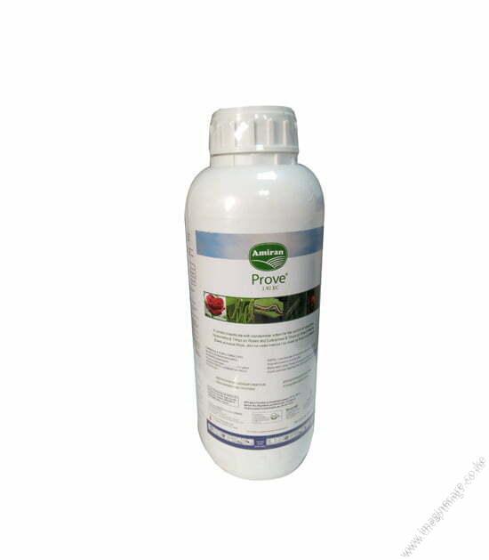 Prove 1.9 EC 1L