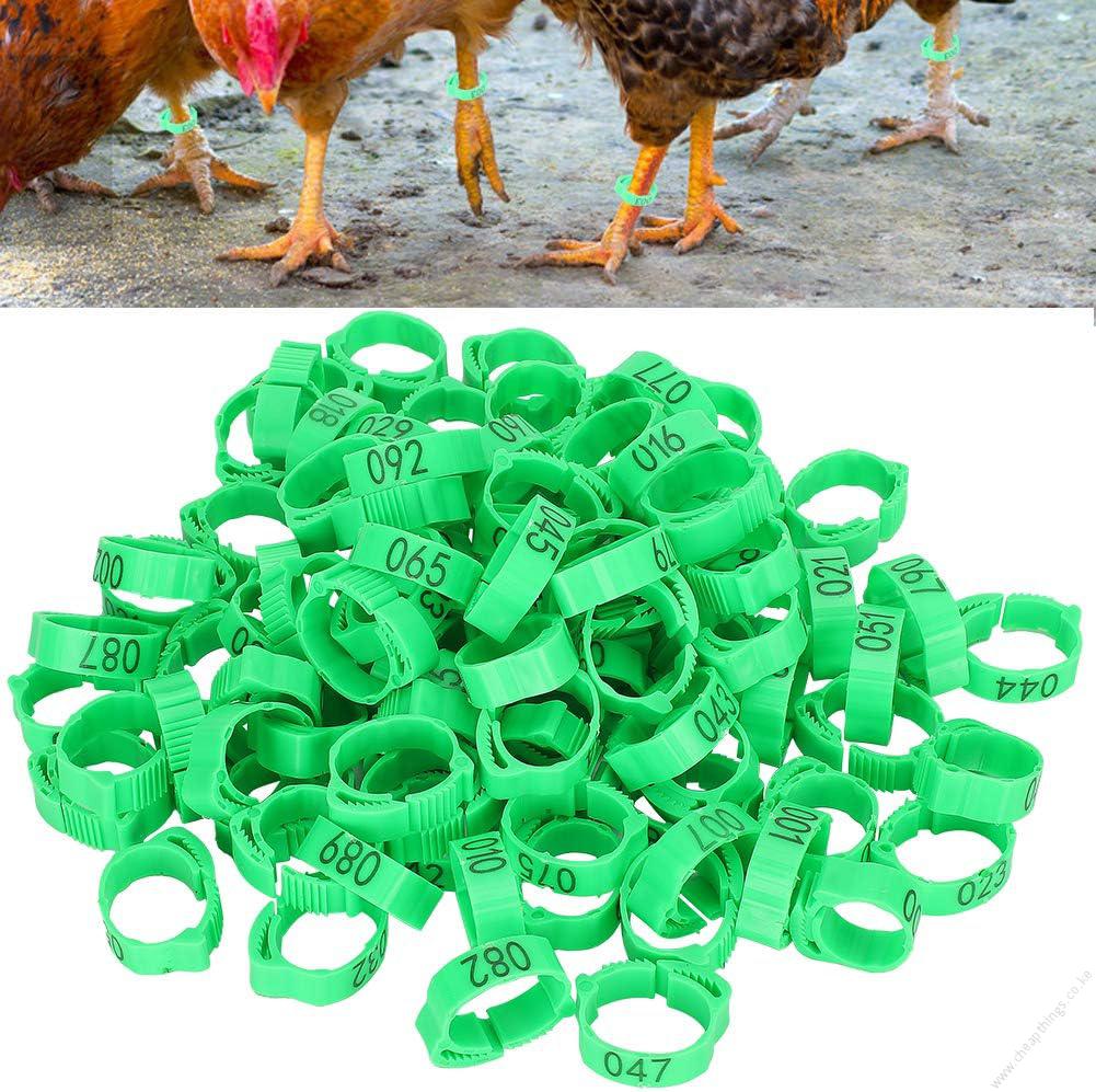 Birds or Chicken Leg Bands Green 1pc