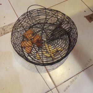 Mechanical Draft Rodent Trap Round