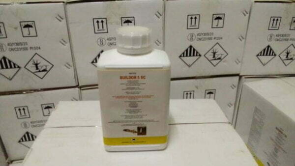 Buildor 5 SC - Antitermite - 1ltr - Image 2