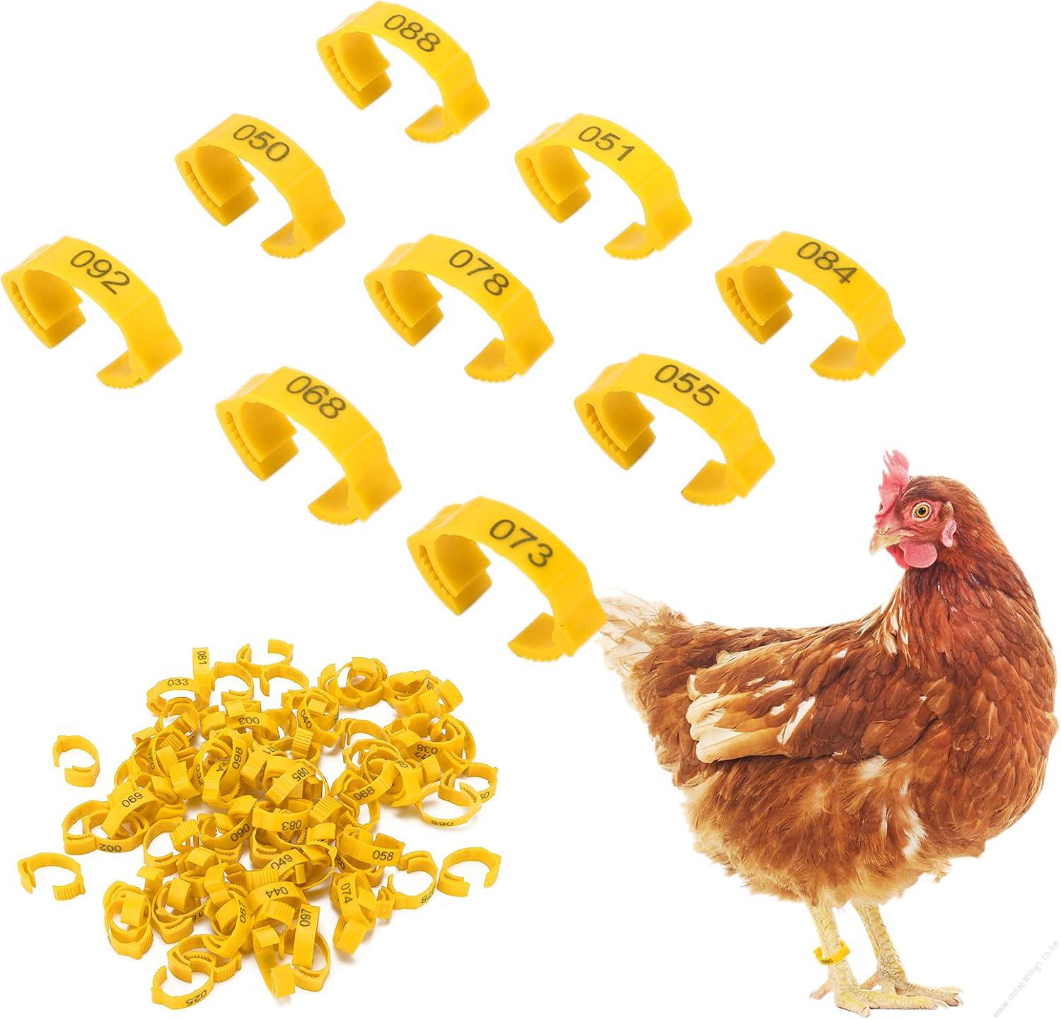 Birds or Chicken Leg Bands Yellow 1pc