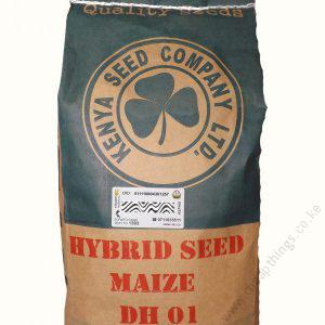 Maize - Dry Land Varieties