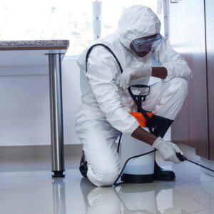 bed bug control nairobi