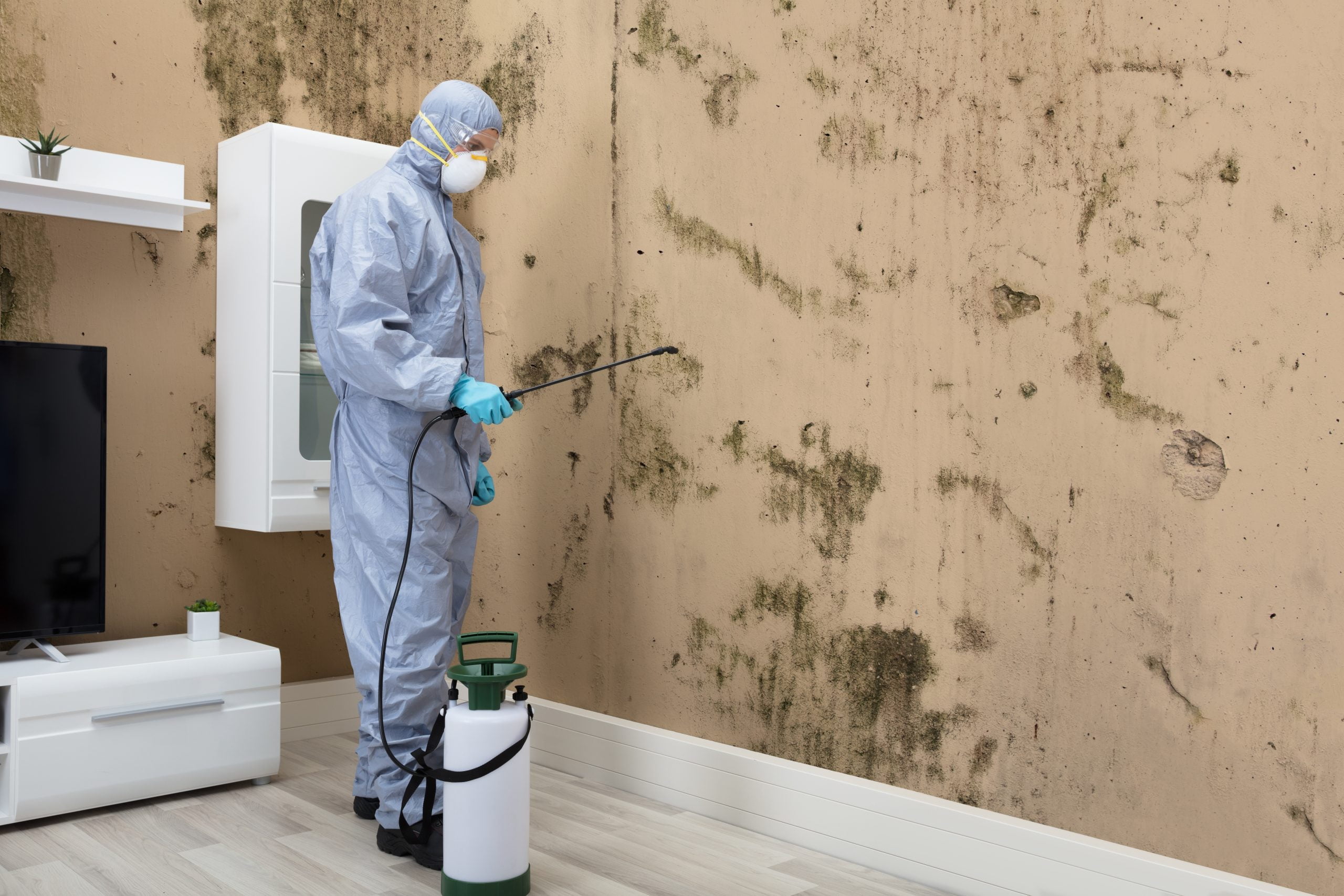 Mold Control and Fumigation in Kenya