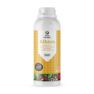 Albion