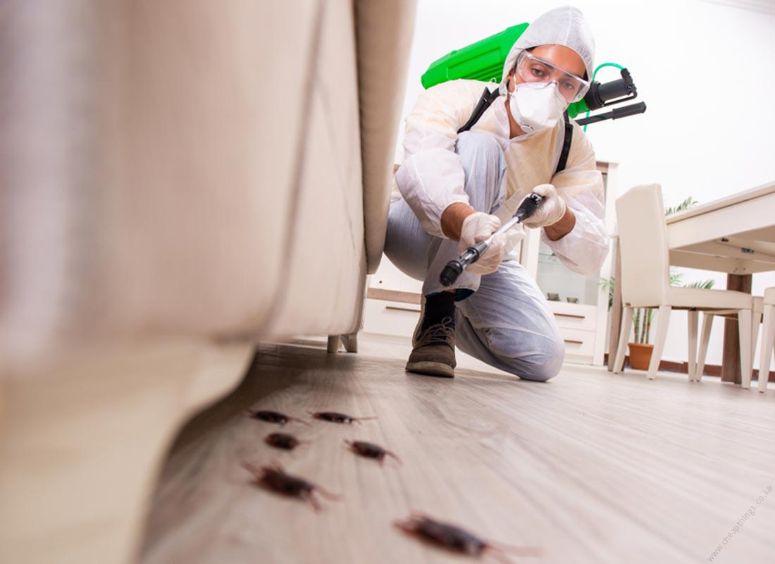 Mosquito Control - One Bedroom