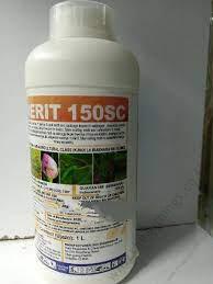 download - 2023-06-29T135016.782