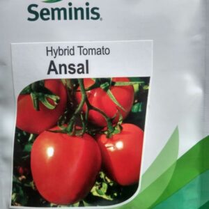 Ansal F1 Hybrid Tomato (Seminis) - 1000 seeds