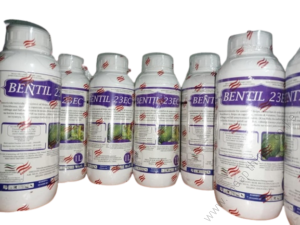 Bentil-23EC-3-300x225