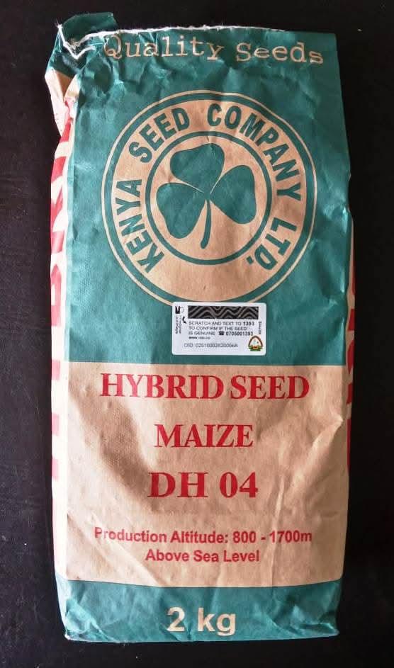 DH 04 Maize Hybrid Seeds 2kg