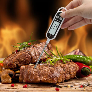 Digital Food Thermometer