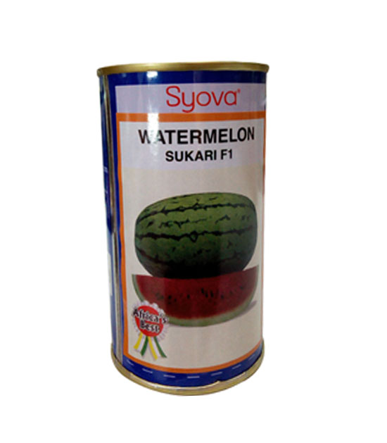 F1 Hybrid Watermelon Seeds - 50g