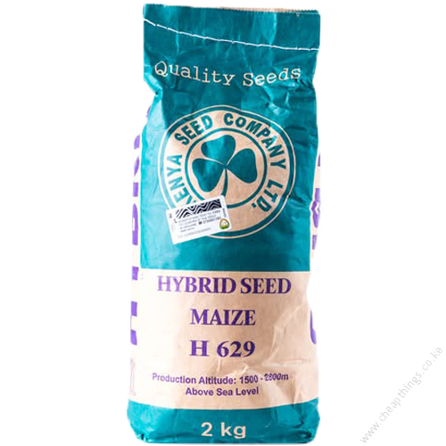 H 629 Maize Hybrid Seed