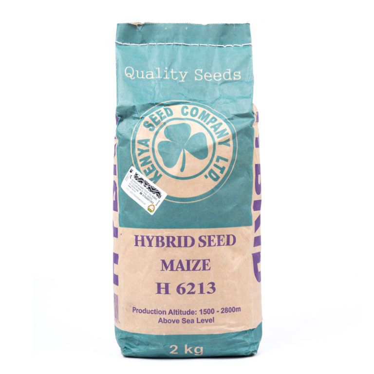 Maize - Highland Varieties - H6213