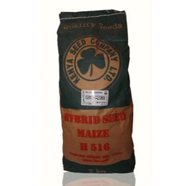 Maize - Highland Varieties - H6210