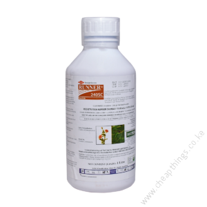 Runner-240-sc-300x300