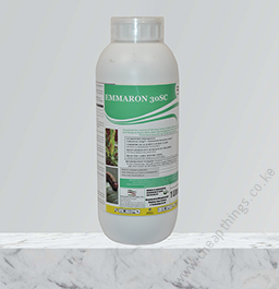 emmaron-01-u3015-fr
