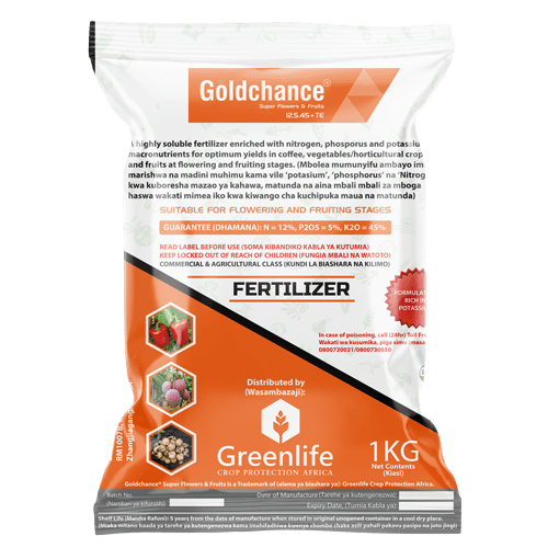 Goldchance Super Flowers & Fruits 500g