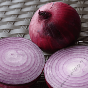 Africa Red F1 onion seeds