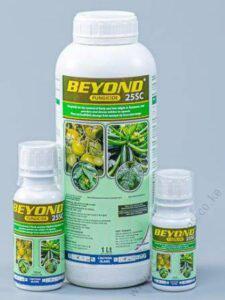 Beyond25EC-1-1-225x300