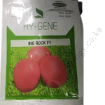 Big_rock_F1_08d0c148ef__1_