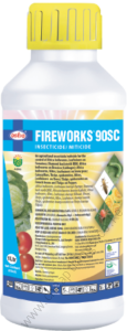 Fireworks-1-115x300