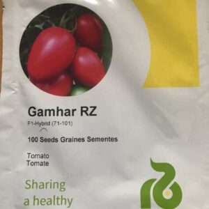 Tomato GAMHAR RZ F1 100seeds