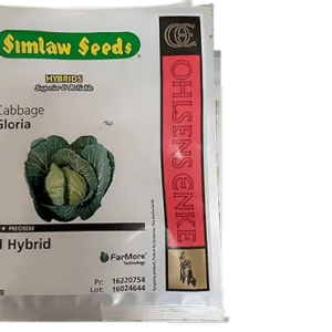 Gloria F1 Cabbage 25g