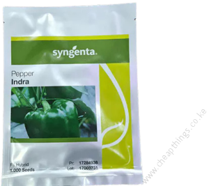 Indra_Pepper_1000_seeds_8a423aab09__1_-removebg-preview-300x267
