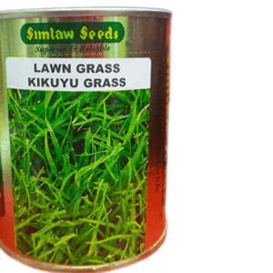 Kikuyu Lawn Grass 100g