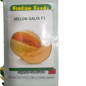 Sweet Melon Galia F1 10g