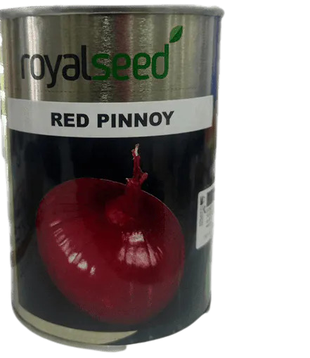 Royal Seed Red Pinnoy onion 1kg