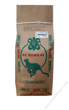 Sc Duma 43 Maize