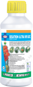 Segatron-2-113x300