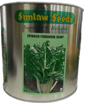 Spinach Fordhook Giant 500g
