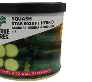 Courgette Star 8023 25g