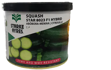 Courgette Star 8021-100g
