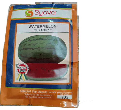 Royal Seed Red Creole onion 25g