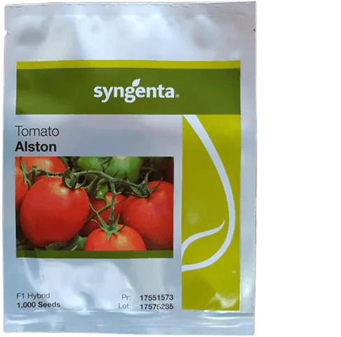Alston F1 tomato 1000 seeds