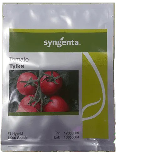 Tylka F1 tomato 500 seeds