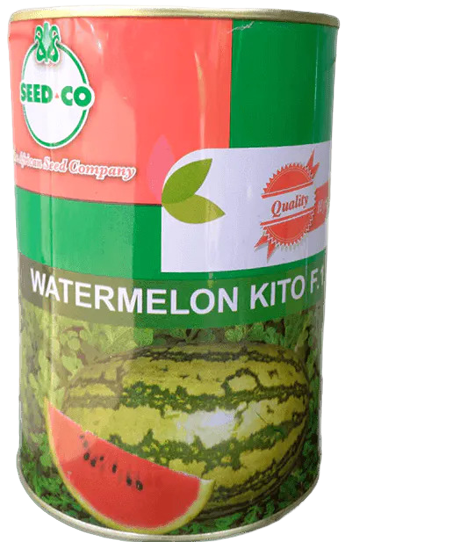 Kito F1 Watermelon 250g