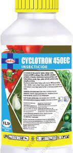 download - 2023-06-23T144448.763