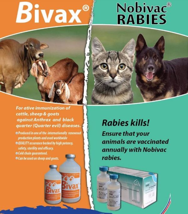 1 X Bivax (100ml)