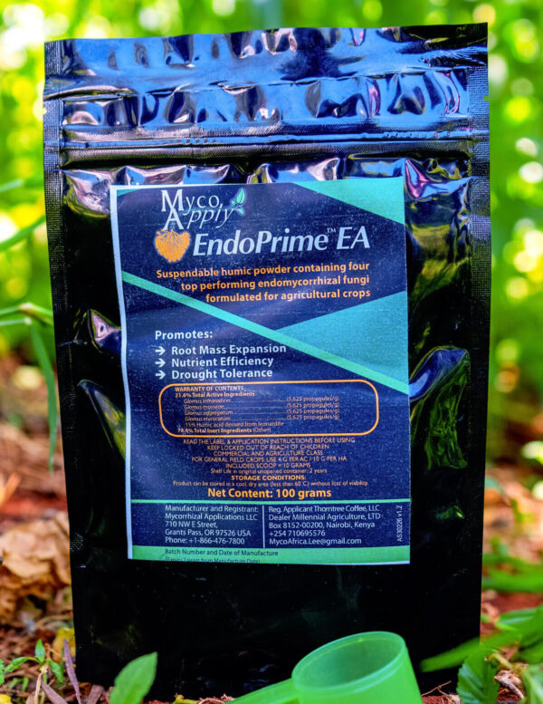 MycoApply Endoprime EA 2g