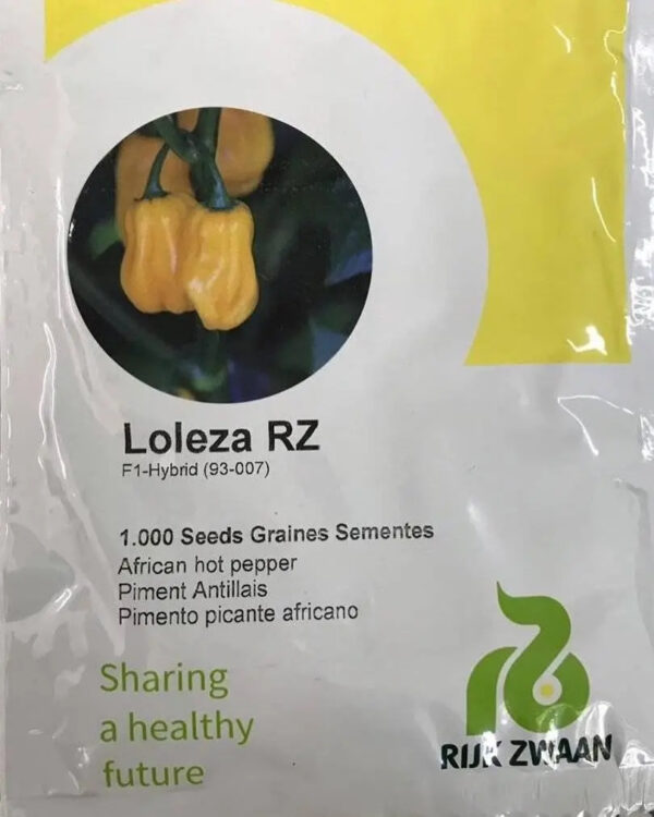 Chilli LOLEZA RZ F1 500seeds