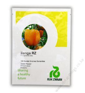 Ilanga_RZ_F1_35-205-_Hybrid_Sweet_Pepper_1.1-274x300