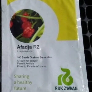 Chilli AFADJA RZ F1 100seeds