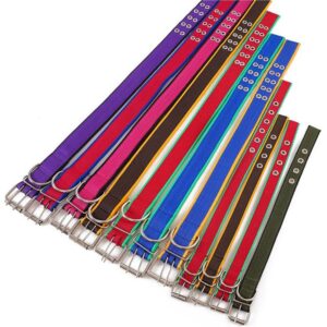 Dog Collars 2.5cm